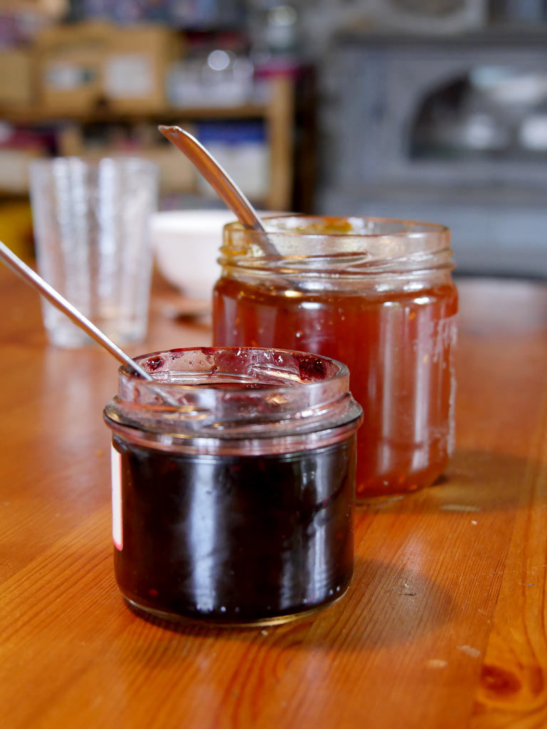 Gelées de sureau rouge et noir