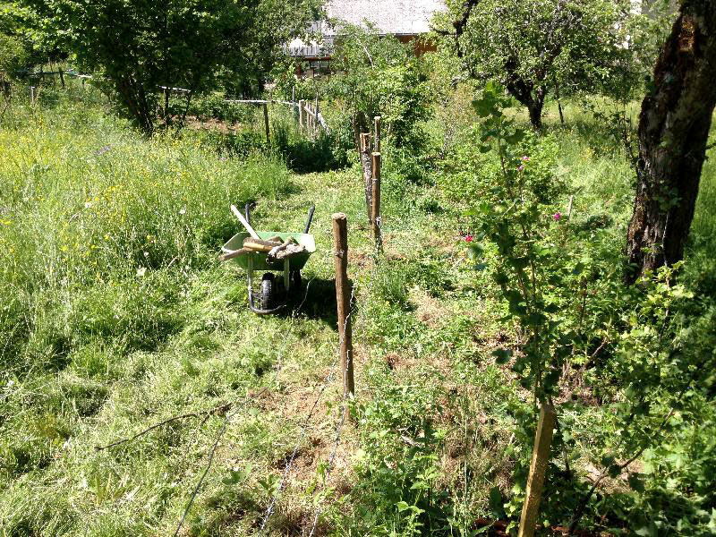 Travaux au jardin